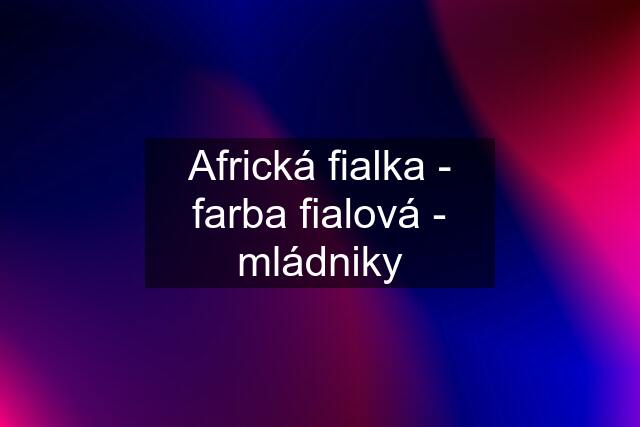 Africká fialka - farba fialová - mládniky