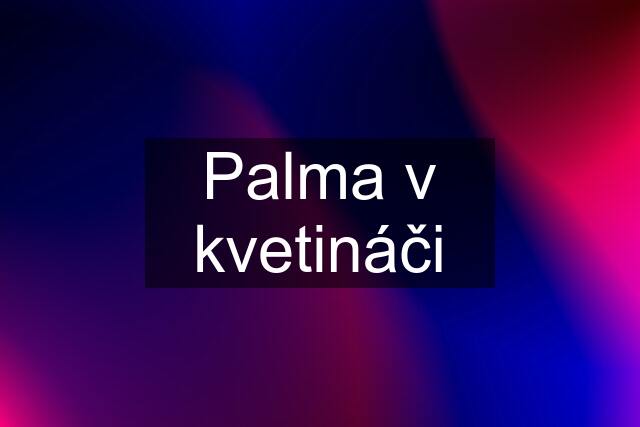 Palma v kvetináči