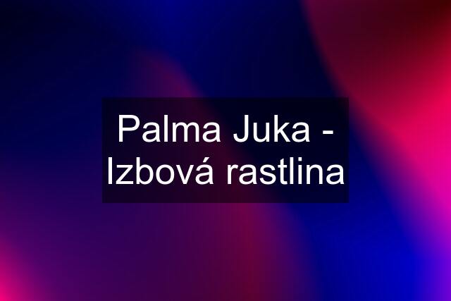 Palma Juka - Izbová rastlina