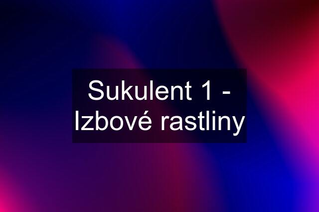 Sukulent 1 - Izbové rastliny