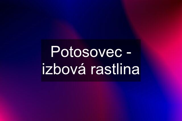 Potosovec - izbová rastlina