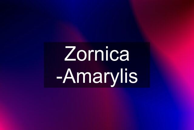 Zornica -Amarylis