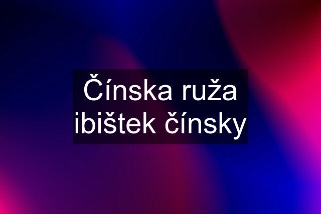 Čínska ruža ibištek čínsky