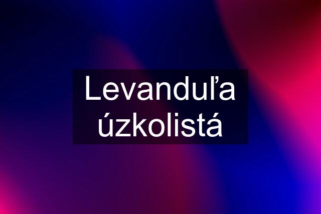 Levanduľa úzkolistá