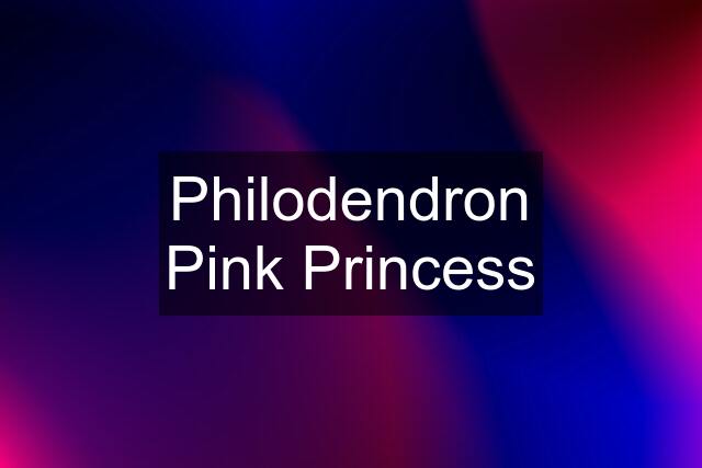 Philodendron Pink Princess