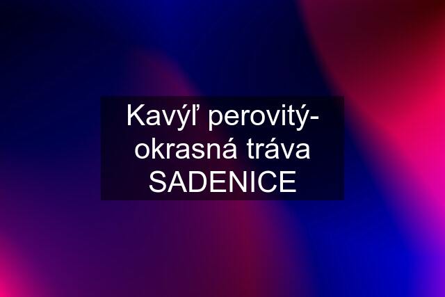 Kavýľ perovitý- okrasná tráva SADENICE