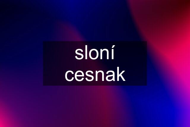 sloní cesnak