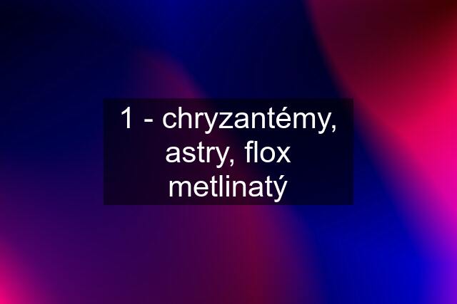 1 - chryzantémy, astry, flox metlinatý