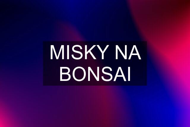 MISKY NA BONSAI