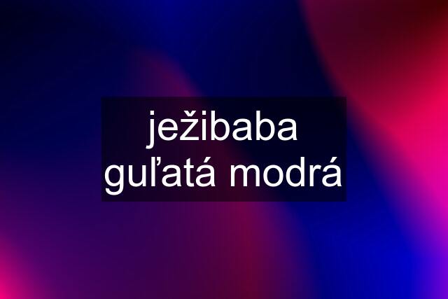 ježibaba guľatá modrá