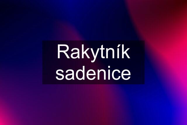 Rakytník sadenice