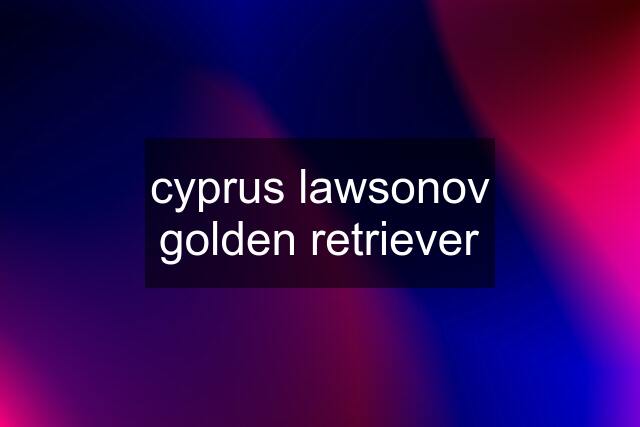 cyprus lawsonov golden retriever