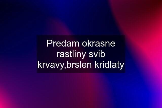 Predam okrasne rastliny svib krvavy,brslen kridlaty