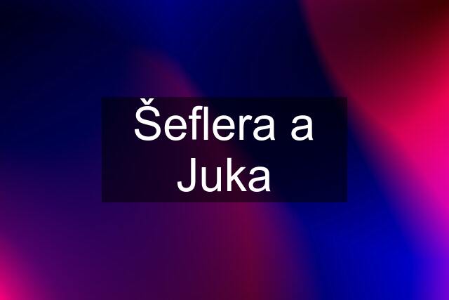 Šeflera a Juka