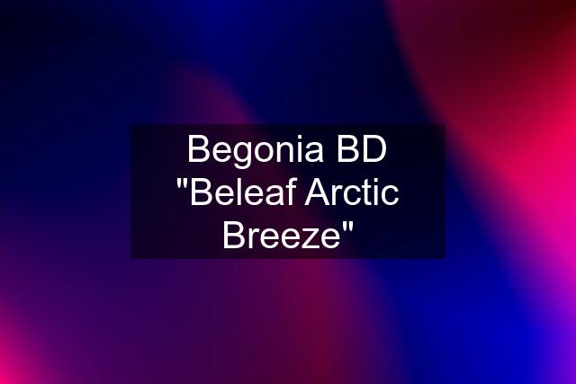 Begonia BD "Beleaf Arctic Breeze"