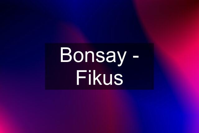 Bonsay - Fikus