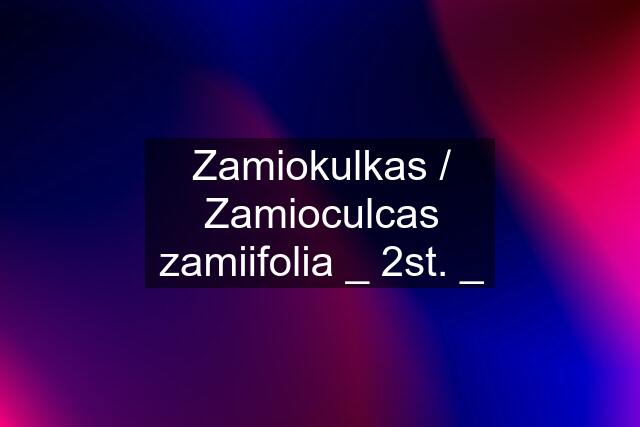 Zamiokulkas / Zamioculcas zamiifolia _ 2st. _