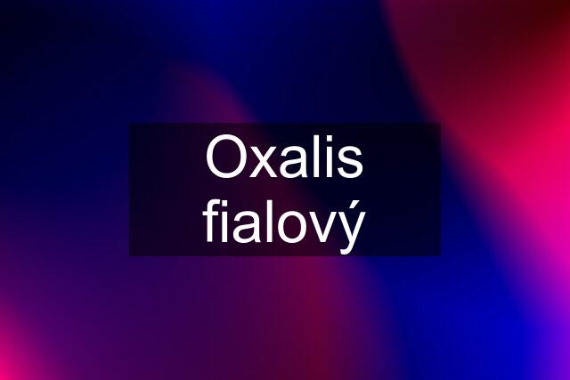 Oxalis fialový