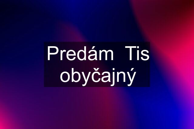 Predám  Tis obyčajný