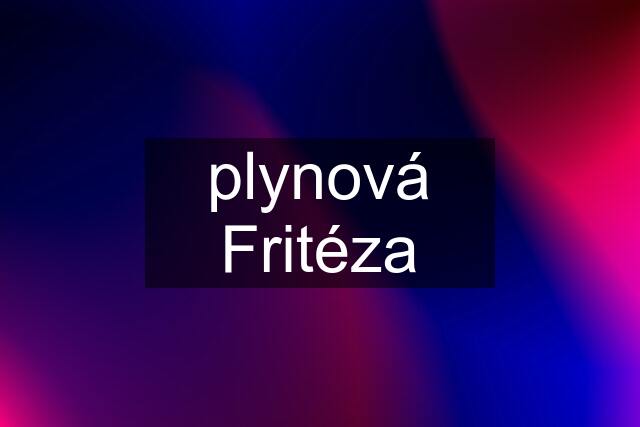 plynová Fritéza