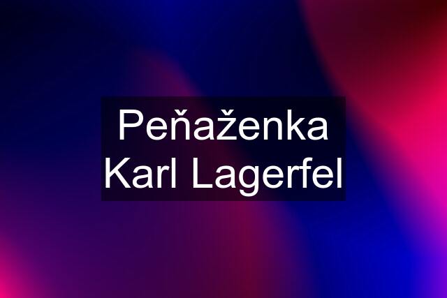 Peňaženka Karl Lagerfel
