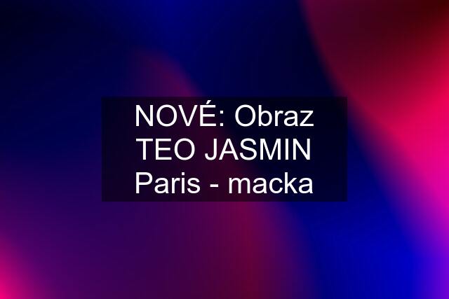 NOVÉ: Obraz TEO JASMIN Paris - macka