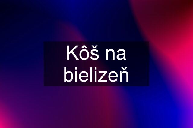 Kôš na bielizeň