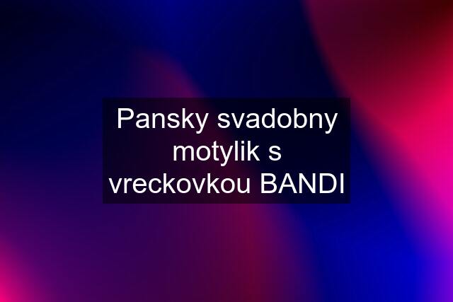 Pansky svadobny motylik s vreckovkou BANDI