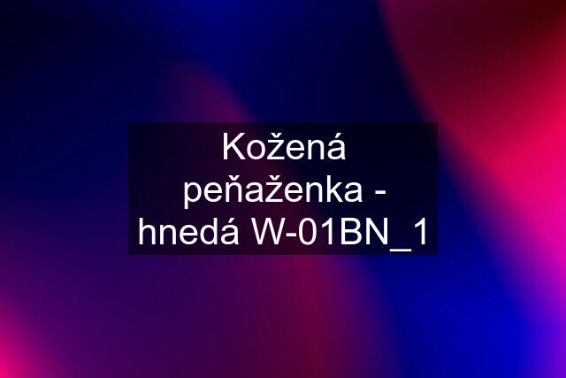 Kožená peňaženka - hnedá W-01BN_1