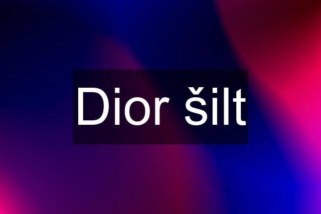 Dior šilt