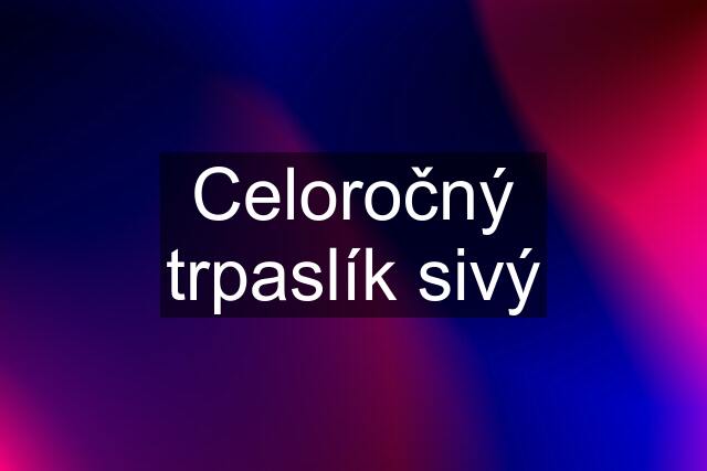 Celoročný trpaslík sivý