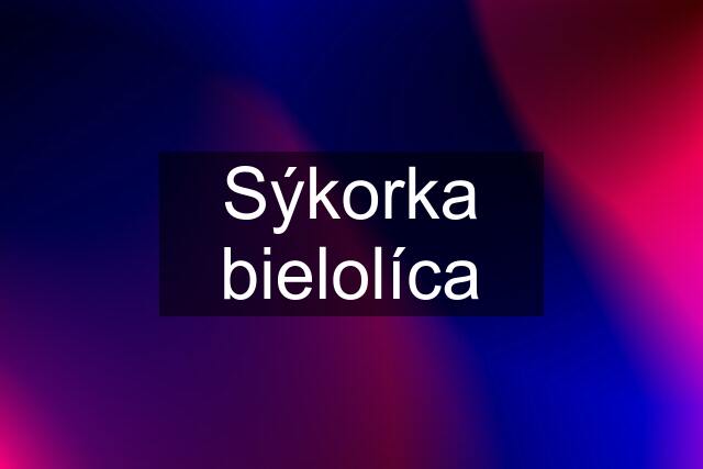 Sýkorka bielolíca