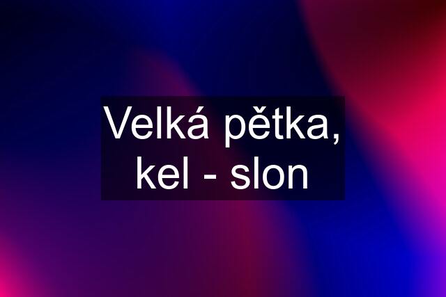 Velká pětka, kel - slon