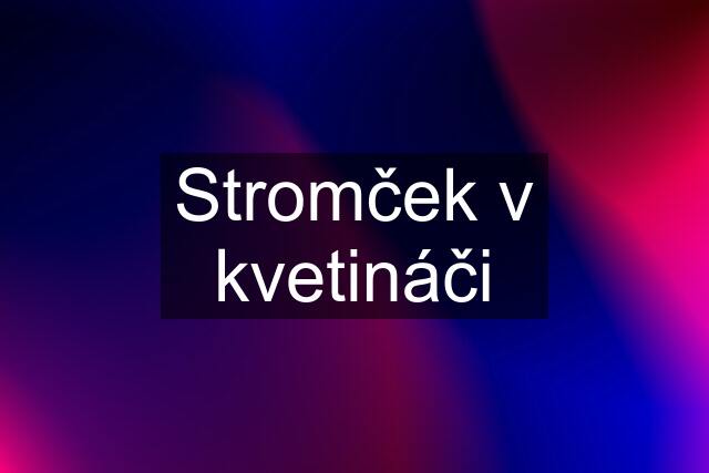 Stromček v kvetináči