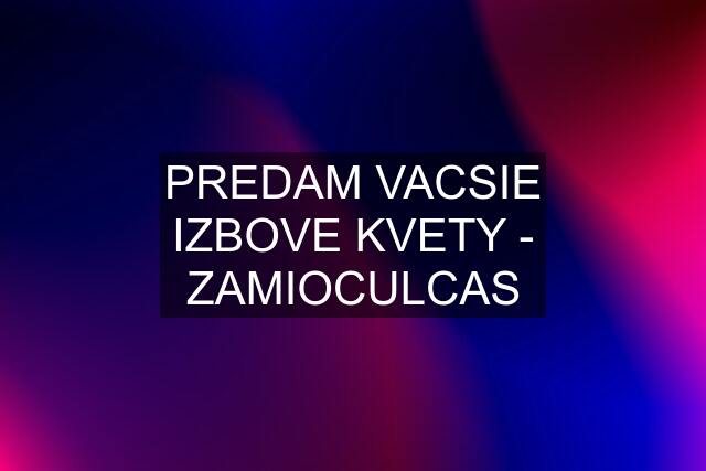 PREDAM VACSIE IZBOVE KVETY - ZAMIOCULCAS