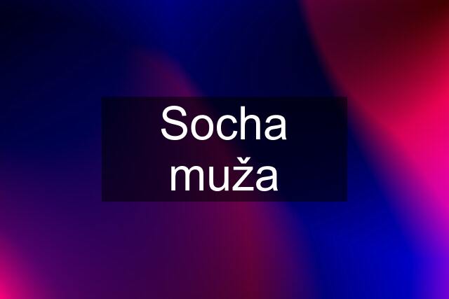 Socha muža