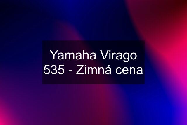 Yamaha Virago 535 - Zimná cena