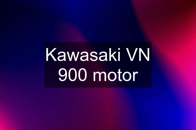 Kawasaki VN 900 motor