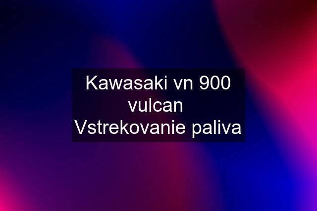 Kawasaki vn 900 vulcan  Vstrekovanie paliva