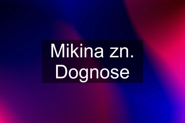 Mikina zn. Dognose