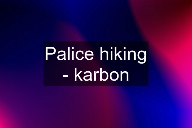 Palice hiking - karbon