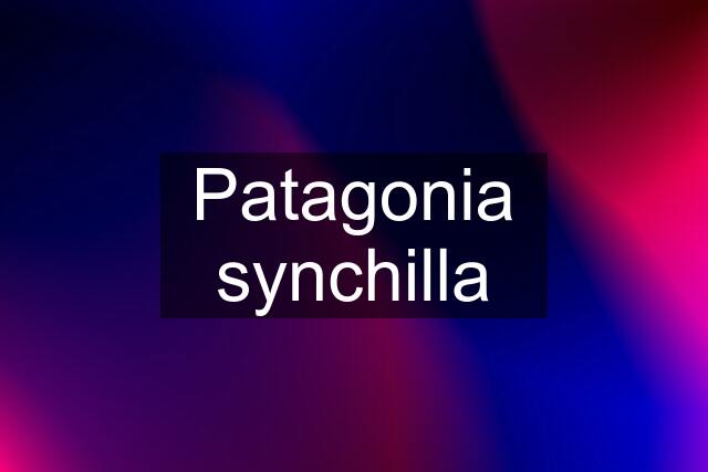 Patagonia synchilla