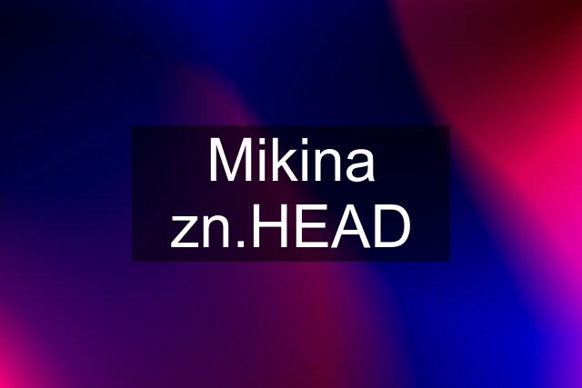 Mikina zn.HEAD