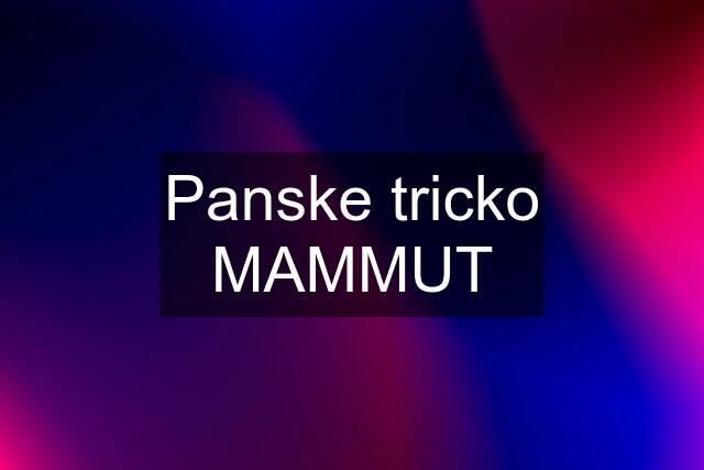 Panske tricko MAMMUT