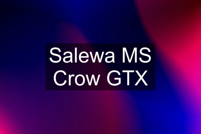 Salewa MS Crow GTX