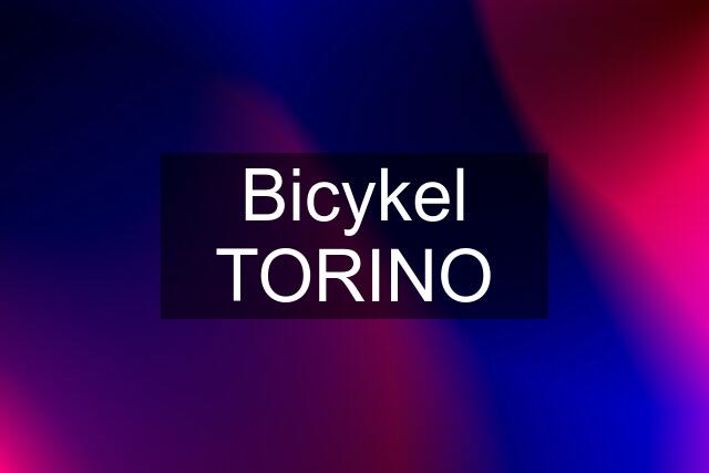 Bicykel TORINO