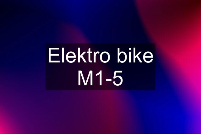 Elektro bike M1-5