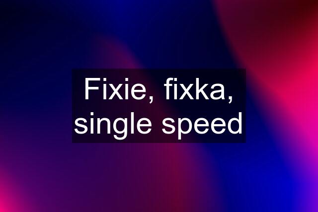 Fixie, fixka, single speed