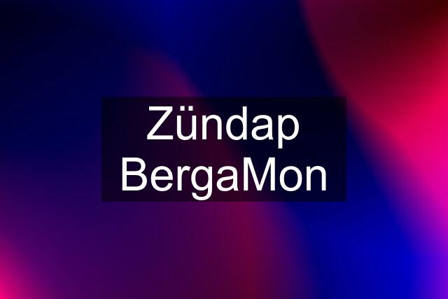 Zündap BergaMon