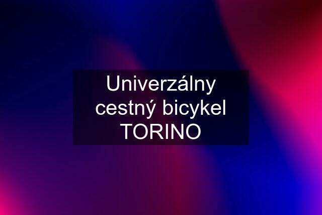 Univerzálny cestný bicykel TORINO